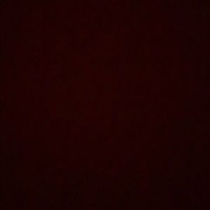 Meet your Posher, Cesar